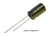 CE 8x14 R3-5.jpg
