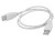 PD-USB#2.jpg
