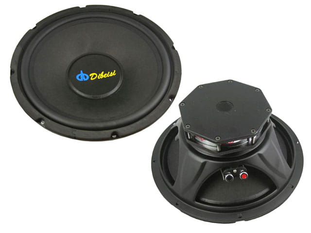 B1010-DBS.jpg
