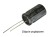 CE-13x21-R5.jpg