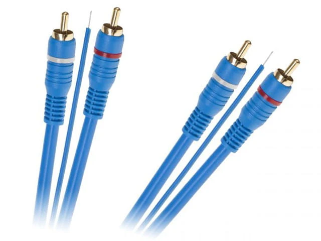 2RCA-2RCA-ster-5m-BLUE.jpg