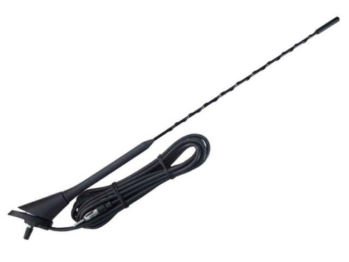 MAT303C.jpg