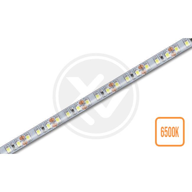 Taśma LED biała zimna 6500K hermetyczna, 12V 9,36W/m, krążek 5m; MasterLed 0785